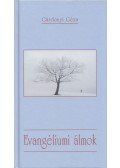 Gárdonyi Géza - Evangéliumi álmok