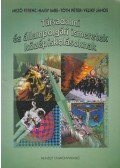Mező Ferenc,Nagy Imre,Tóth Péter,Veliky János - Társadalmi és állampolgári ismeretek középiskolásoknak