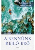 Rick Hanson, Forrest Hanson - A bennünk rejlő erő - A boldogság, tudatosság és belső béke elérése