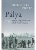 Kukorelly Endre - Pálya