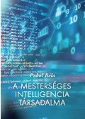 Pokol Béla - A mesterséges intelligencia társadalma