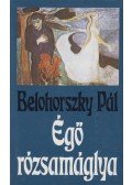 Belohorszky Pál - Égő rózsamáglya