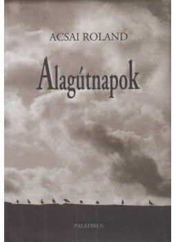 Acsai Roland - Alagútnapok Acsai Roland - Alagútnapok, Budapest 2005 antikvár könyv