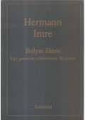 Hermann Imre - Bolyai János