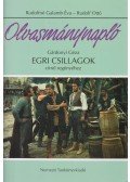 Rudolfné Galamb Éva,Rudolf Otto - Olvasmánynapló Gárdonyi Géza Egri csillagok című regényéhez