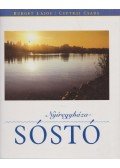 Burget Lajos,Csutkai Csaba - Nyíregyháza-Sóstó