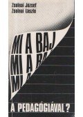 Zsolnai József,Zsolnai László - Mi a baj a pedagógiával?