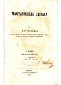 Fényes Elek - Magyarország leírása 1-2.