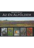 Molnár Gyula - Az én Alföldem