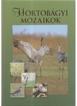 Fintha István, Kovács Gábor, Masits László, Molnár Attila - Hortobágyi mozaikok Fintha István, Kovács Gábor, Masits László, Molnár Attila - Hortobágyi mozaikok, Debrecen 2005 antikvár könyv