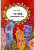Bocsák Veronika - Írómester - Fogalmazási feladatfüzet 4. osztály