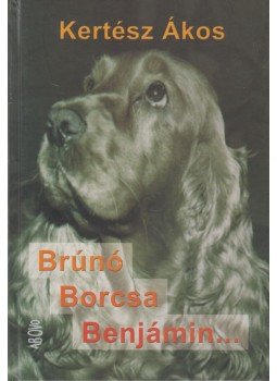 Kertész Ákos - Brúnó, Borcsa, Benjámin... (dedikált) Kertész Ákos - Brúnó, Borcsa, Benjámin... (dedikált), 2004 antikvár könyv