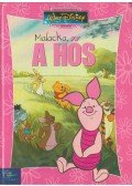 Disney - Malacka, a hős