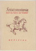 Somogyi Antal - Székesfehérvár - Művészet és város
