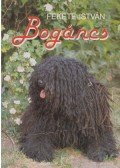 Fekete István - Bogáncs