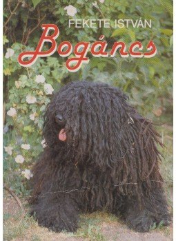 Fekete István - Bogáncs Fekete István - Bogáncs, Budapest 1992 antikvár könyv