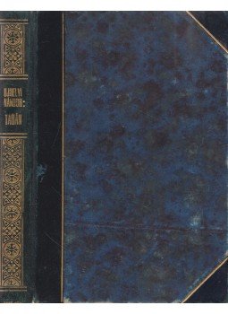 Ujhelyi Nándor - Tabán Ujhelyi Nándor - Tabán, Budapest 1917 antikvár könyv