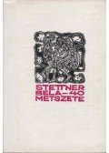 Stettner Béla - Stettner Béla 40 metszete