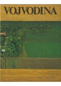 Nebojsa Tomasevic - Vojvodina