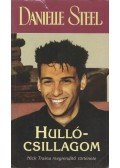 Danielle Steel - Hullócsillagom