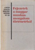 Kende János,Borsányi György - Fejezetek a magyar munkásmozgalom történetéből