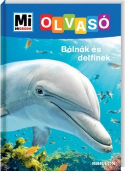 Christina Braun - Bálnák és delfinek - Mi Micsoda Olvasó Christina Braun - Bálnák és delfinek - Mi Micsoda Olvasó, null 2019 antikvár könyv