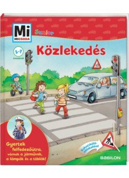 Christina Braun - Közlekedés - Mi Micsoda Junior Christina Braun - Közlekedés - Mi Micsoda Junior, Budapest 2019 antikvár könyv