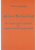 Tóth Zsigmond - Divine Antiquities