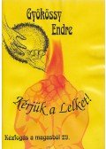 Gyökössy Endre - Kérjük a lelket!