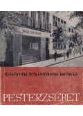 Nagy Dezső - A Pesterzsébeti munkáskultúra útja
