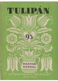 Ádám Jenő - Tulipán