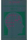 ARBIB, MICHAEL A. - A metaforikus agy (orosz)