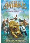 Brandon Mull - Vadnak született