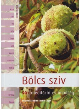Szabó Lajos - Bölcs szív Szabó Lajos - Bölcs szív, 2009 antikvár könyv