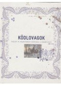 Bauernhuber Enikő,Cséve Anna (szerk.),Kómár Éva (szerk.),Kőrös Kata (szerk.) - Ködlovagok