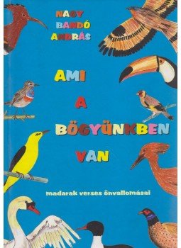 Nagy Bandó András - Ami a bögyünkben van (dedikált) Nagy Bandó András - Ami a bögyünkben van (dedikált), Orfű 2009 antikvár könyv