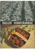 Horst Muller Dr. - Erdbeeranbau