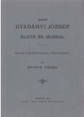 Kovács Dénes - Gróf Gvadányi József élete és munkái