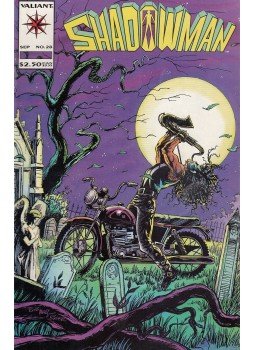 Hall, Bob, Ryder, Tom - Shadowman 28. Hall, Bob, Ryder, Tom - Shadowman 28., 1994 antikvár könyv