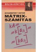 Scharnitzky Viktor - Mátrixszámítás