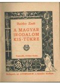 Beöthy Zsolt - A magyar irodalom kis-tükre