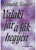 Kányádi Sándor - Valaki jár a fák hegyén (dedikált)