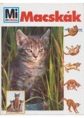 Rainer Köthe - Macskák