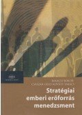 Bakacsi Gyula,Bokor Attila,Császár Csaba,Gelei András,Kováts Klaudia,Takács Sándor - Stratégiai emberi erőforrás menedzsment