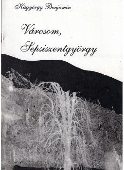 Kisgyörgy Benjámin, Kisgyörgy Zoltán - Városom, Sepsiszentgyörgy (dedikált) Kisgyörgy Benjámin, Kisgyörgy Zoltán - Városom, Sepsiszentgyörgy (dedikált), Sepsiszentgyörgy 2004 antikvár könyv
