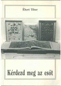 Ébert Tibor - Kérdezd meg az esőt