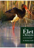 Dr. Kalotás Zsolt - Élet a Brinyón