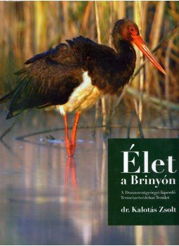 Dr. Kalotás Zsolt - Élet a Brinyón Dr. Kalotás Zsolt - Élet a Brinyón, Paks 2014 antikvár könyv