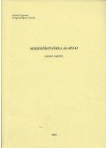 Szilágyi Dezsőné - Mikroökonómiai alapjai