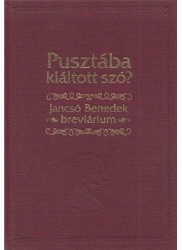Jancsó Benedek - Pusztába kiáltott szó? Jancsó Benedek - Pusztába kiáltott szó?, 2013 antikvár könyv